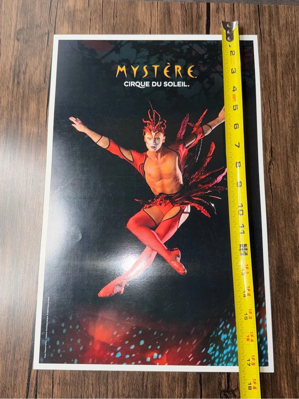 Vintage Cirque du Soleil 